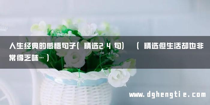 人生经典的感悟句子（精选24句） （精选但生活却也非常得乏味…）